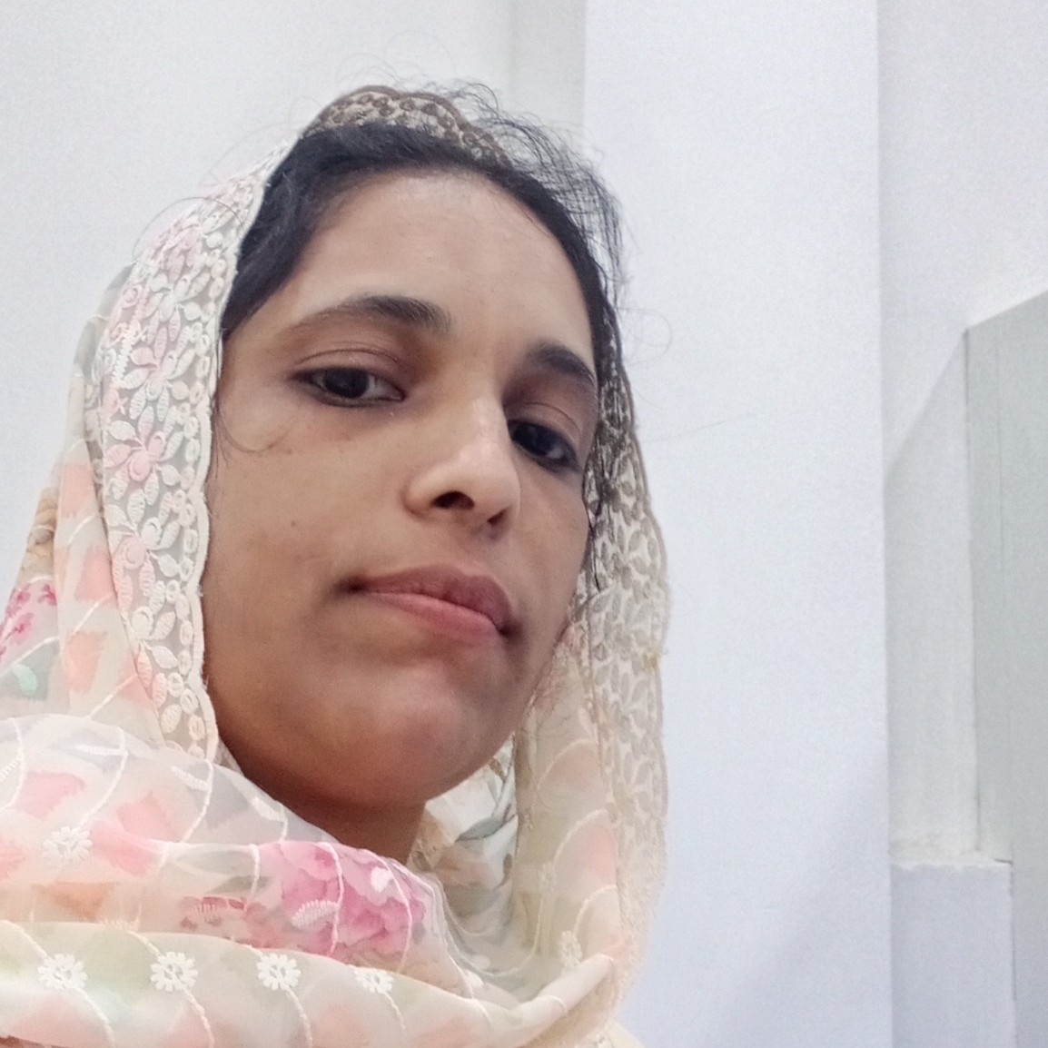 Sajna ck